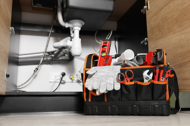 Best Same-Day Plumbing Service  in Kouts, IN