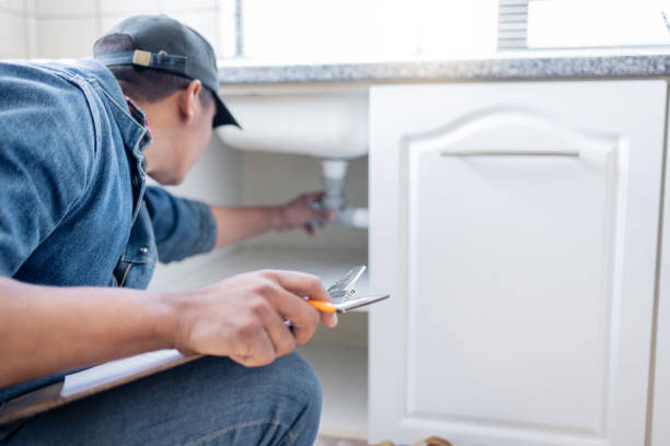 Best Local Plumber Services  in Kouts, IN